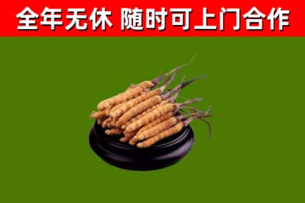 色达烟酒回收冬虫夏草.jpg